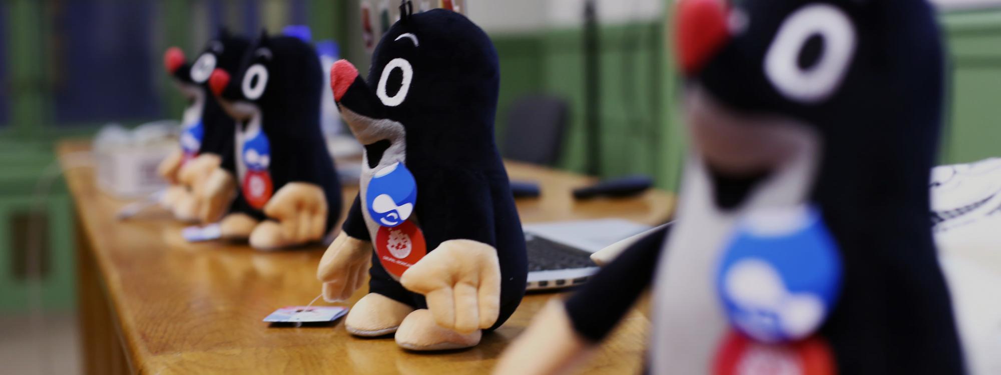 ביקור בכנס IronCamp בפראג