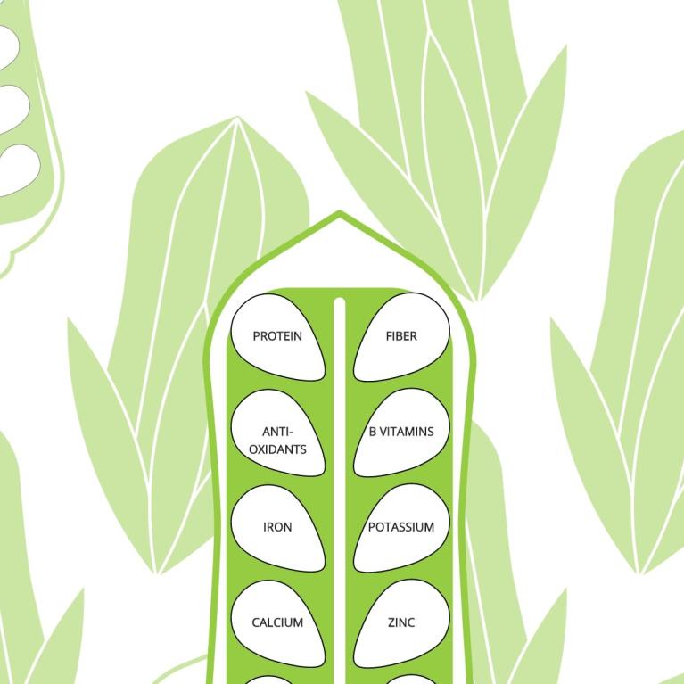 טחינה בארכה במותג אמריקאי, אתר חדש על ידי ריזונט